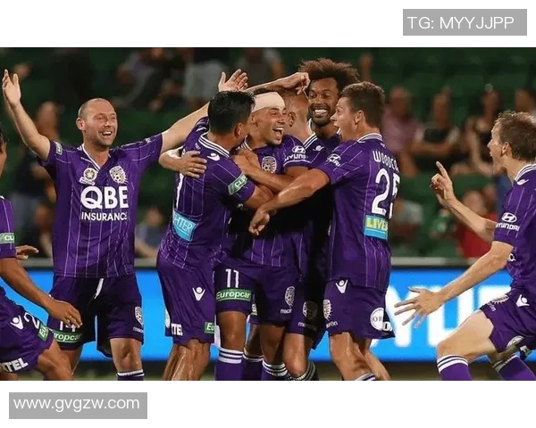 深入解析澳超球队阵容及其战术特点与球员表现