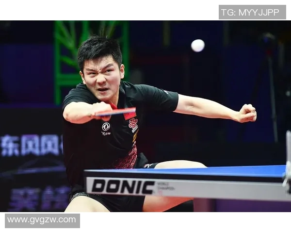 樊振东正手进攻节奏解析与实战应用技巧分享